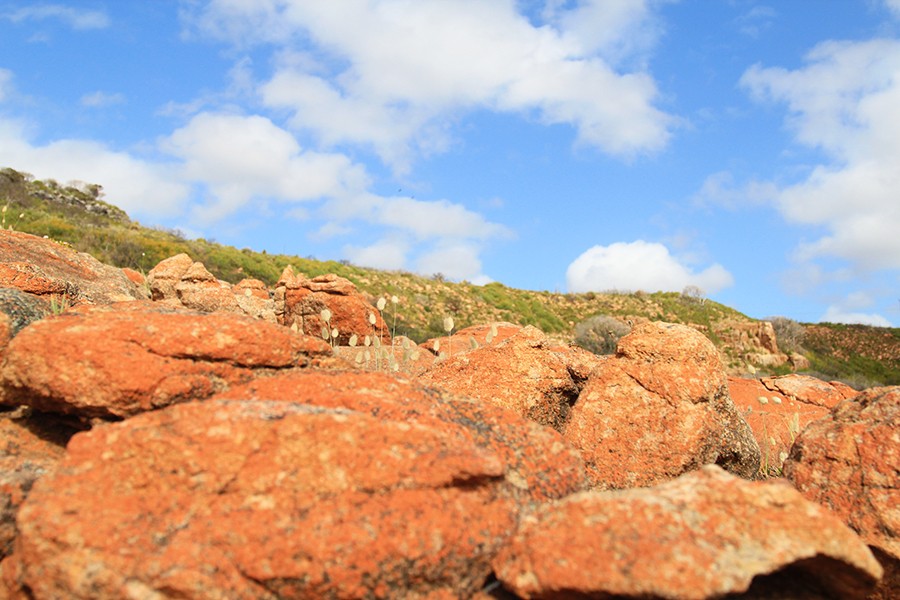 australia-colours
