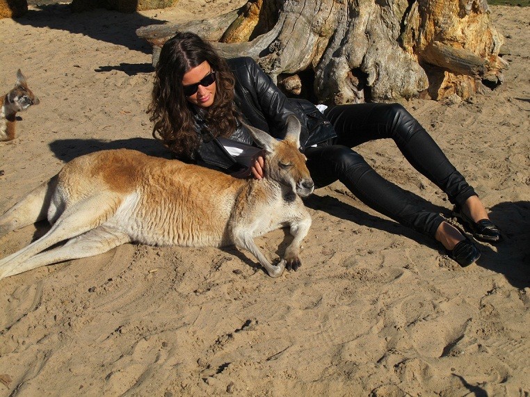Meeting the Kangaroos and Koala’s